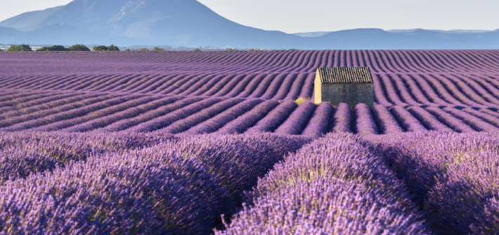 Vivre en Provence