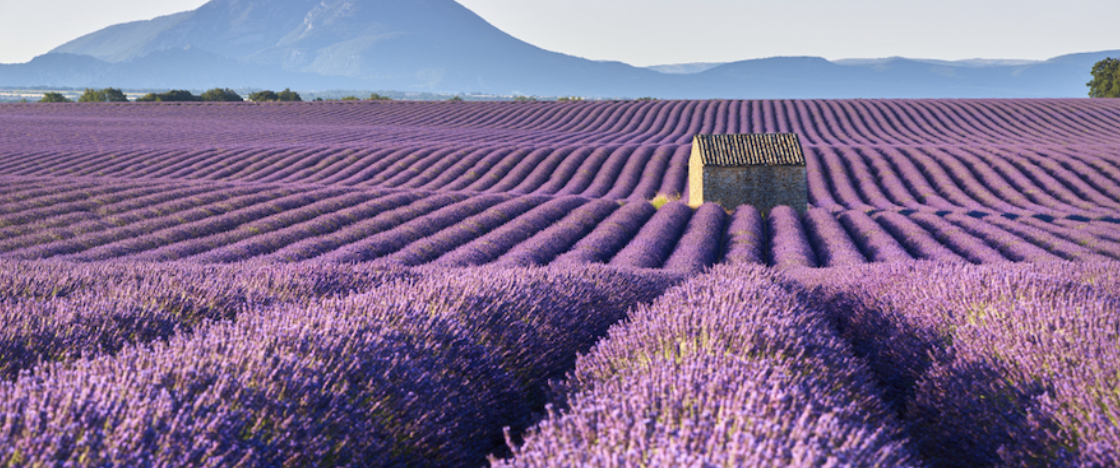 Vivre en Provence