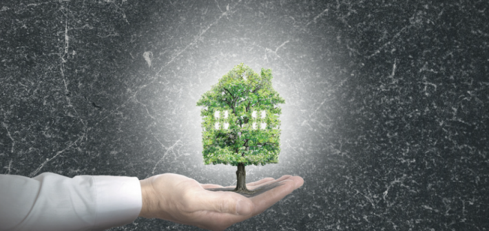 Immobilier et transition écologique