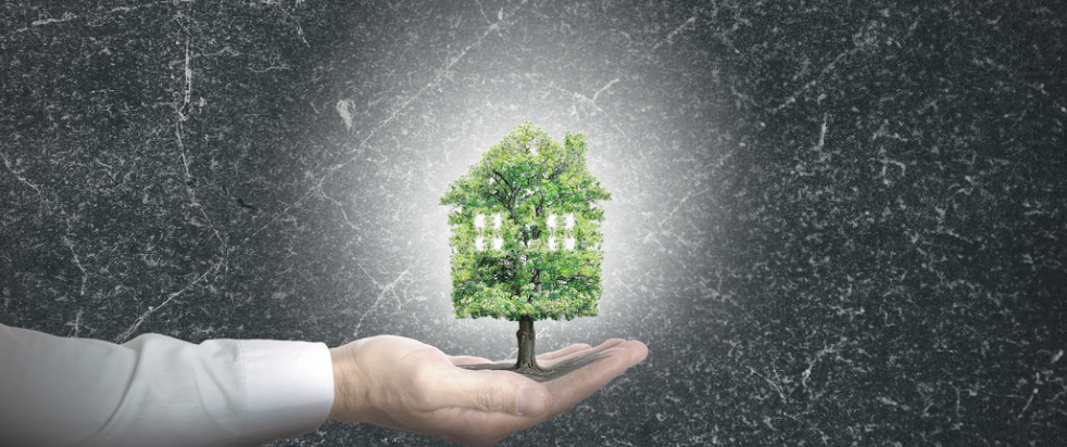 Immobilier et transition écologique