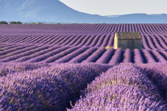 Vivre en Provence