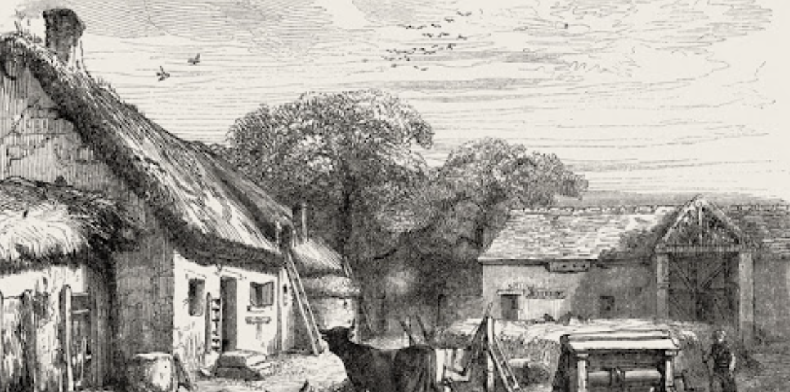 Les maisons et la façon de les habiter