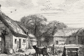 Les maisons et la façon de les habiter